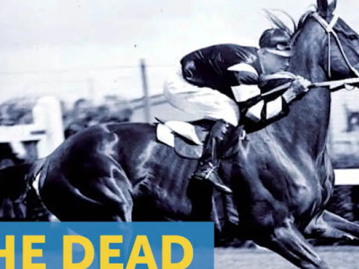 Стали відомі нові подробиці про мертвого жокея в сідлі, який феєрично виграв скачки