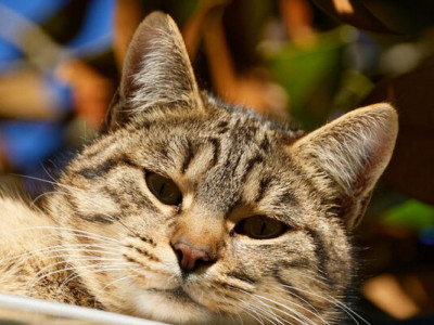 Синоптикиня повідомила, коли в Україні нарешті може потеплішати