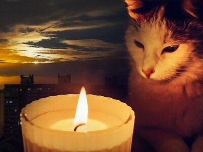 Де не буде світла? Графік відключень