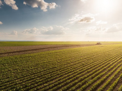 Тіньова земля: розкрито, хто стоїть за схемами на мільярди