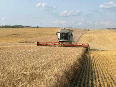 Жнива 2025: скільки та в яких областях аграрії зібрали найбільше врожаю