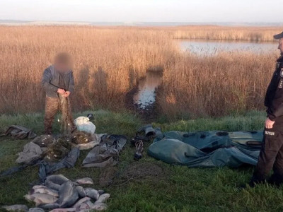 Покарали за сазанів і карасів: який вирок отримав рибалка на Одещині
