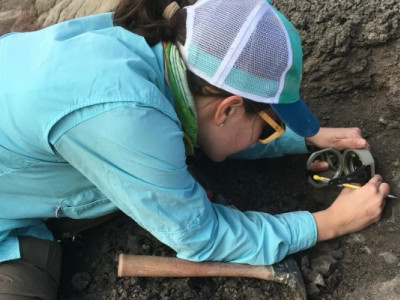 Динозаври не зникали поступово: чому їхній світ обірвався миттєво