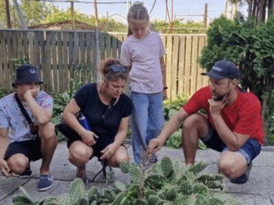 Оазис із тисячі кактусів: біотехнолог із Житомирщини створив простір спокою, який лікує від стресу