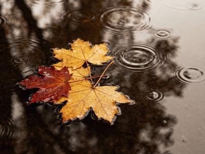 Синоптикиня розповіла, якою буде погода в Україні у перші дні нового тижня