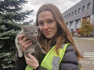 Столична поліцейська прихистила знайдене під завалами кошеня