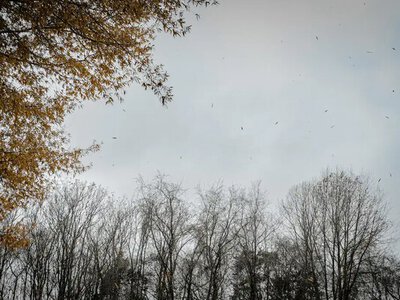 Захід у зоні Жовтої тривоги: синоптики оголосили підвищений рівень небезпеки на два дні