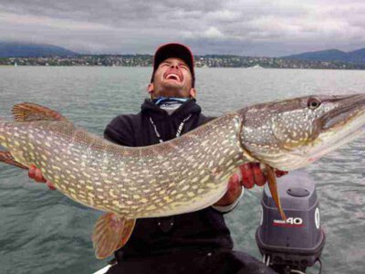 На Київщині рибалка спіймав гігантську щуку: трофей вражає розмірами