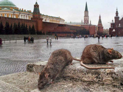 Путінський режим — це царська модель, де війна тримає владу