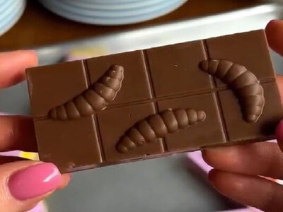 В Україні з’явився “Жуколад”: шоколадний батончик із личинками жуків