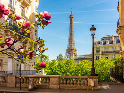 Франція переглядає закон про зґвалтування після справи Жизель Пеліко