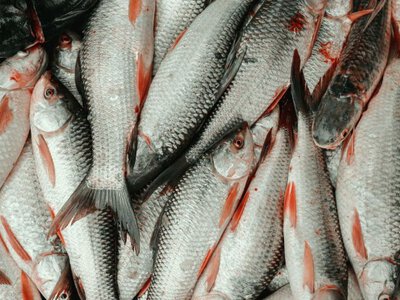 Що зміниться з 1 листопада: важливе попередження для українців