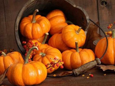 Суперфуд на вашому столі: як гарбуз змінює здоров'я на краще