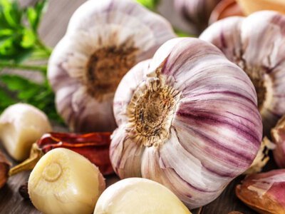 Помилка дачників: чим накрити зимовий часник і цибулю, щоб не втратити врожай