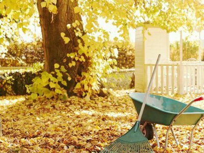 Як зрозуміти, що ваш сад дійсно готовий до зими? Чек-лист із 15 пунктів