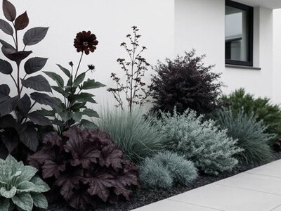 Тренд 2026 - темний квітник: у чому його особливість і як підібрати рослини