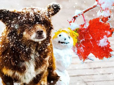 Як Україна переживе наступну зиму? Прогноз експертів