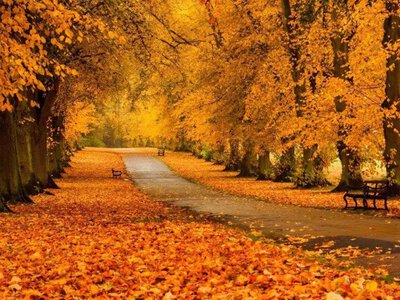 Метеорологи розповіли, якою буде погода в перші вихідні листопада