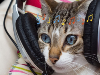  Не знаєте, де послухати музику? ТОП-5 найкращих платформ + ЦІНИ 