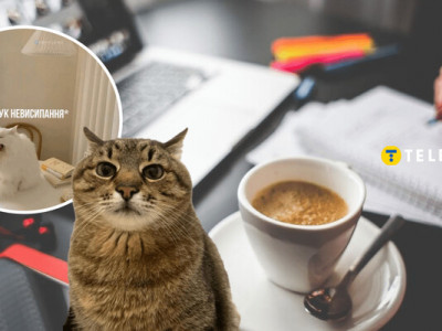 "Уходьте, містер понеділок": смішні меми та приколи про початок робочого тижня