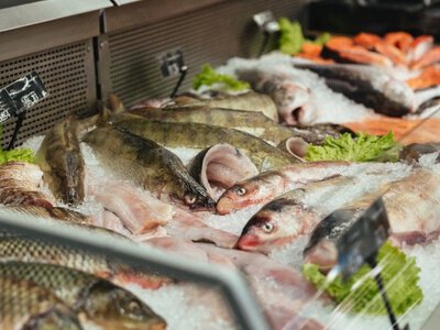 Названо рибу, в якій найчастіше виявляють паразитів: її регулярно купують мільйони українців