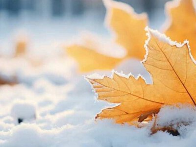 Вже незабаром синоптики прогнозують сніг