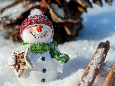 Сніг по коліна чи крижані дощі? Зима 2025-2026 готує несподіванку