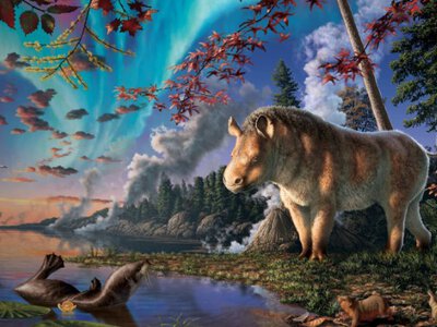 Сенсація століття: новий вид носорога з'явився з крижаного небуття