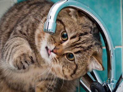 Проблеми з водою у Львові: що вирішила влада і що кажуть місцеві?