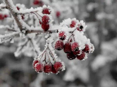 Без тривалих морозів та сталого снігу: якою буде зима в Україні