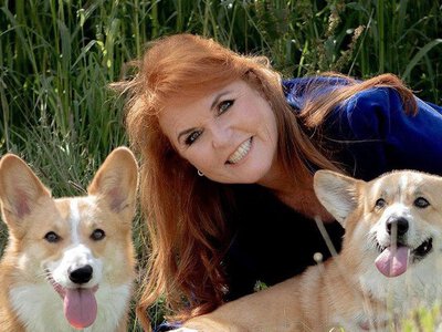 Через них говорить королева: стало відомо, що буде з коргі Єлизавети II, які живуть у Ройал-Лоджі