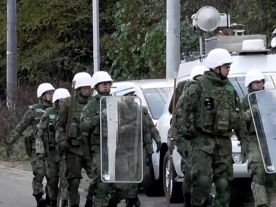 Влада направила війська після рекордної кількості нападів ведмедів в Японії (ВІДЕО)