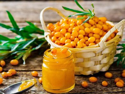 Чи допоможе обліпиха при діабеті