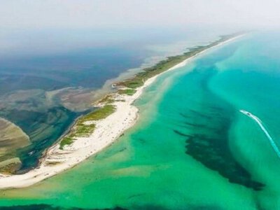 Знищення ворогом екосистем у Чорному морі: на півдні України може зникнути ще одна унікальна заповідна зона