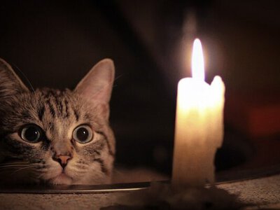 8 листопада на Волині діятимуть графіки погодинних відключень електроенергії