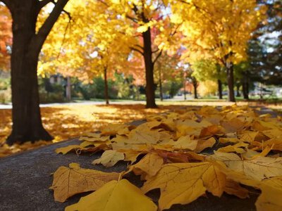 Україну накриє антициклон: прогноз погоди на 8-9 листопада