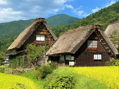 Сіракава-го і Ґокаяма: села зі списку ЮНЕСКО в горах Японії дивують (ФОТО)