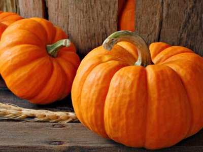 Гарбуз: користь чи шкода – що ми не знаємо про суперфуд осені