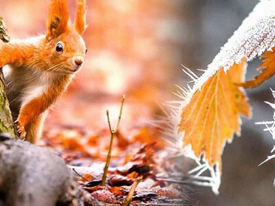 Погода на тиждень: синоптики попередили українців про небезпеку