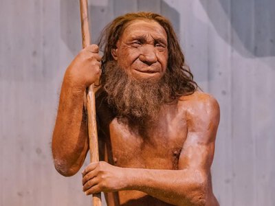 Якою мовою розмовляли неандертальці: вчені зробили сенсаційну заяву