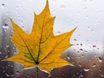 Синоптики прогнозують цього тижня дощі у більшості регіонів України