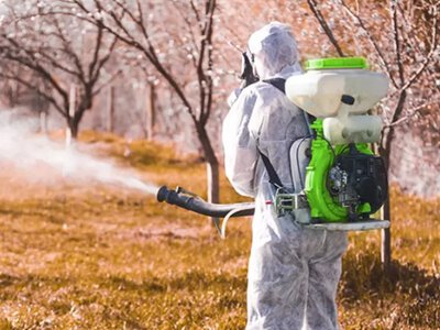 Таємниця дачників: одне обприскування в листопаді — і шкідники зникнуть наступного року