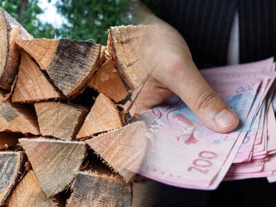 Гроші на дрова — кому вже виплатили майже 20 тис. грн