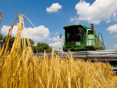 Естетика врожаю: фермери відкрили спосіб позбутися бур'янів назавжди