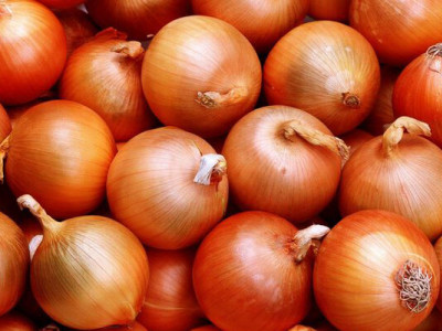 Цибуля в Україні стрімко дешевшає