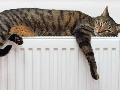 Не за всі гроші світу: як зекономити на опаленні, аде не мерзнути