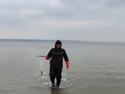 Що відбувається з Хаджибейським лиманом: учені фіксують тривожні зміни