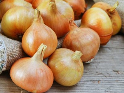 В Україні цибуля продовжує дешевшати: яка зараз її ціна