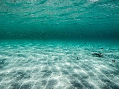 Вчені воскресили стародавній організм, який пролежав на морському дні 7000 років