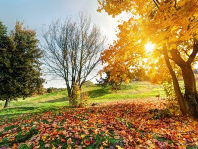 Чому сьогодні не можна приймати важливі рішення: головні заборони та прикмети 16 листопада 